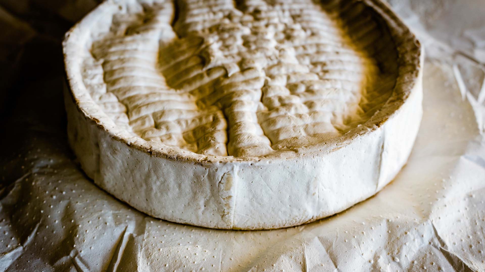 cheese-wheel-maleny