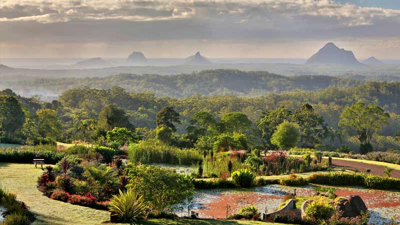 maleny-botanic-gardens-800x450